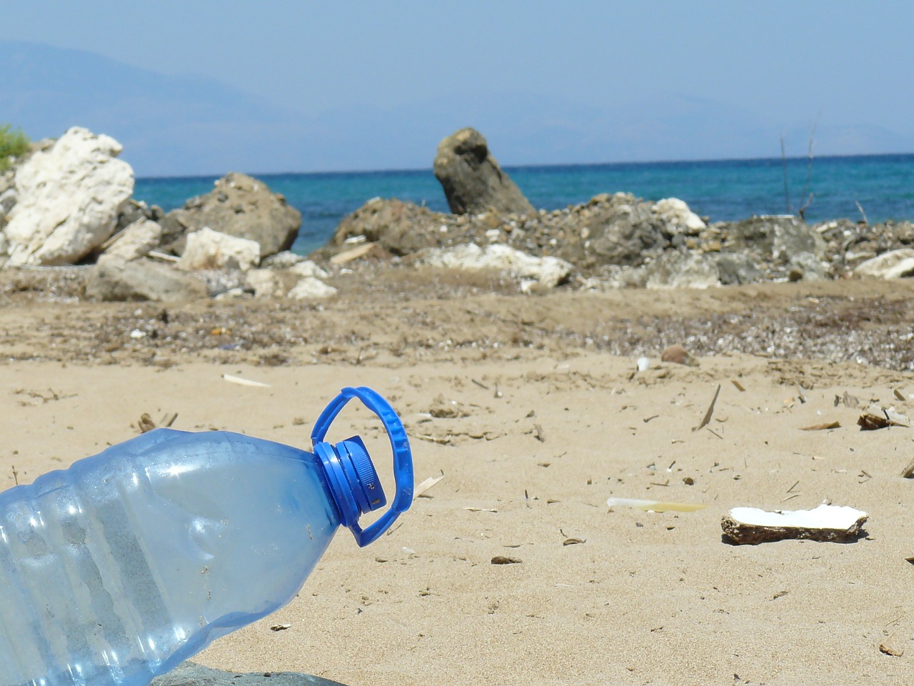 Plastic bans across the globe: How they might affect you